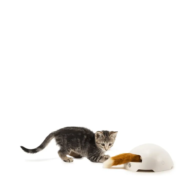 Frolicat Fox Automatic Cat Teaser | Premiumkvalitet