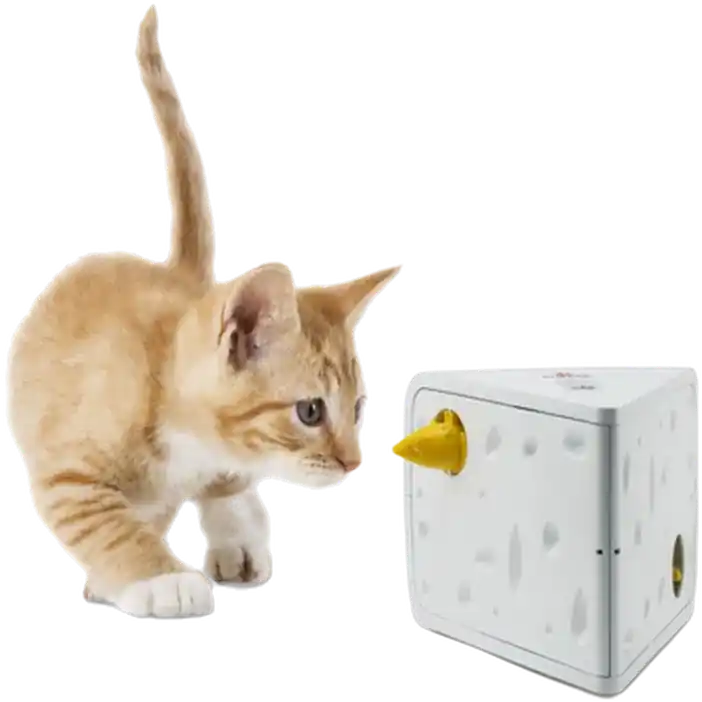 Reapris - FroliCat Portable Cheese Automatic Cat Teaser 1st