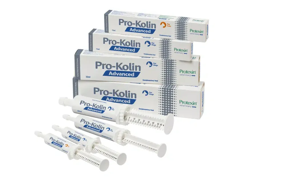 Pro-Kolin Advanced Cat – 15 ml | Kampanjpris