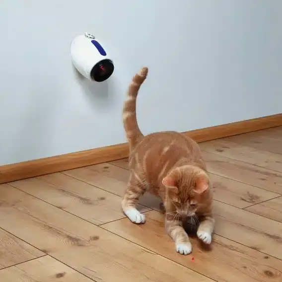 Cat activity Moving light | Smidig beställning