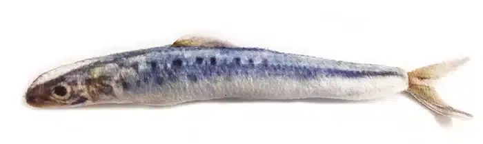 Kattleksak Makrill 20 cm - Nyhet i sortimentet