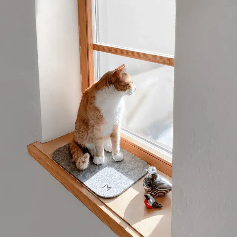 Endast idag | MIKASTE MIKS Kattdyna Mini