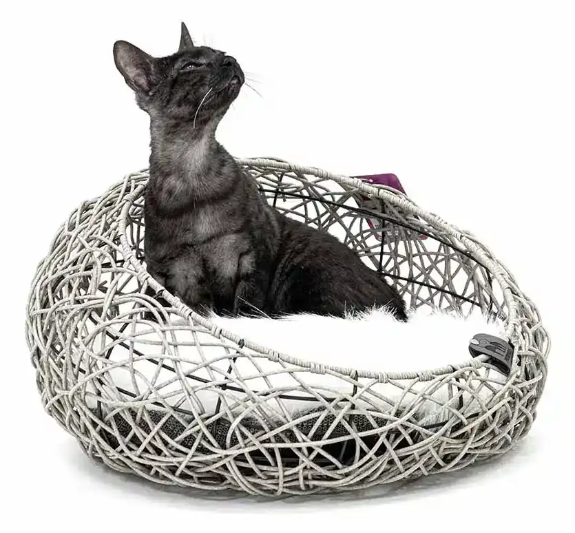 Kattkorg Oslo Grå PetRebels | Mycket efterfrågad