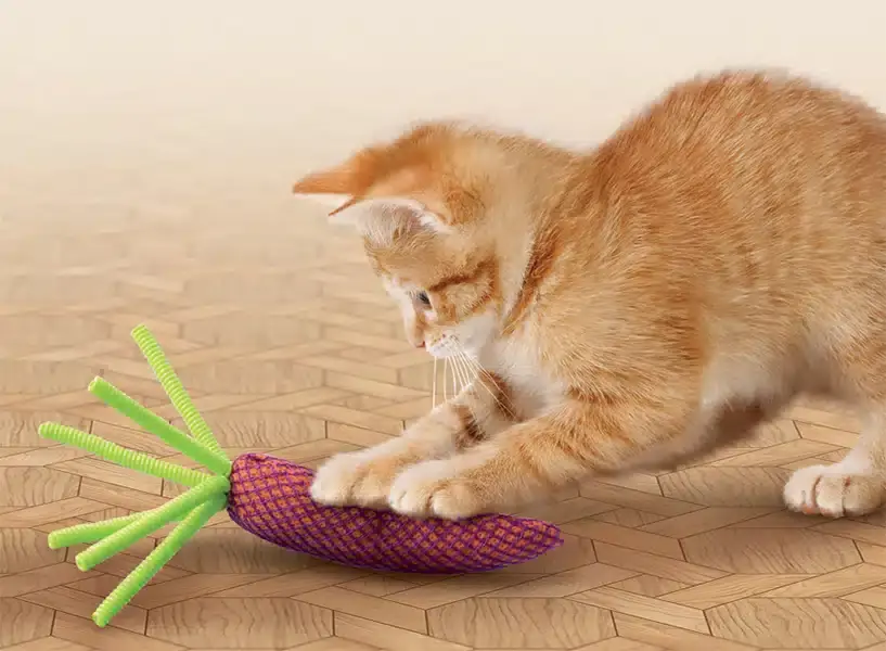 Kong Cat Nibble Carrot | Deal