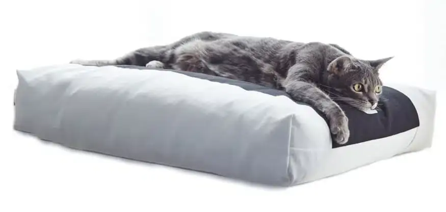 PADI modern catbed vit | Beställ direkt