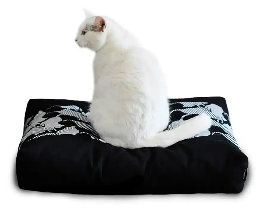 PADI modern catbed svart | Sänkt pris