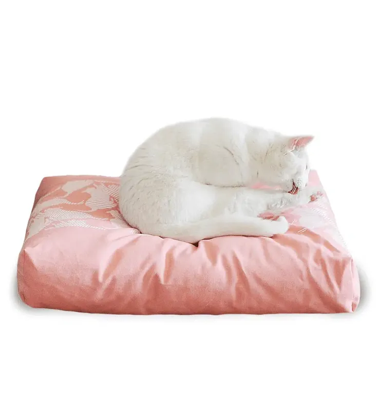 Rea | PADI modern catbed rose
