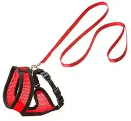 Sänkt pris | Original Harness Röd med svart söm (Medium)