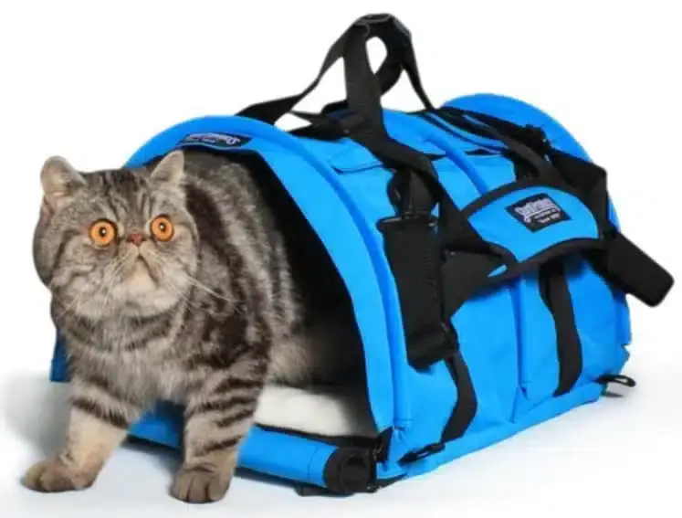 Bästa pris | Sturdibag Large Divided Pro 2.0 (Blue Jay)