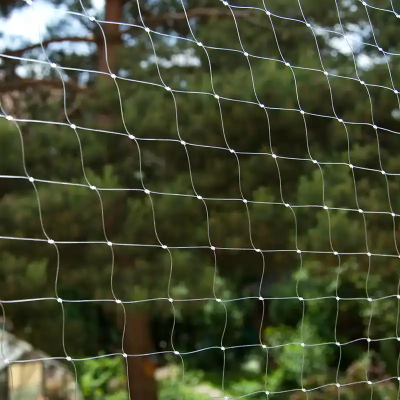 Transparent kattnät – 4 x 3 m | Köp nu