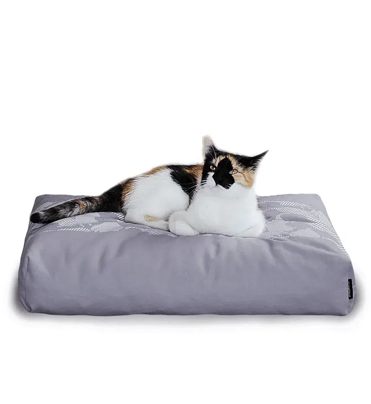 PADI modern catbed grå | Ny produkt