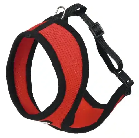 Handla säkert - Active Harness röd