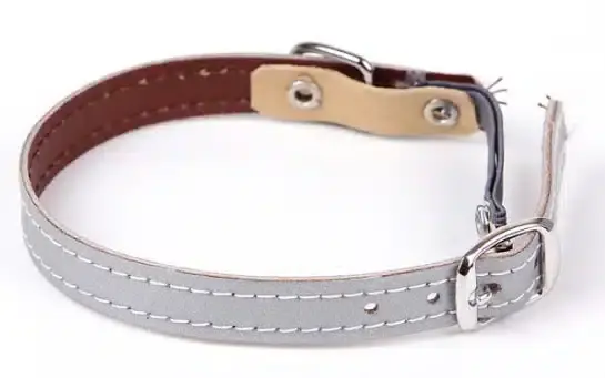 Köp idag | Katthalsband reflex slät silver