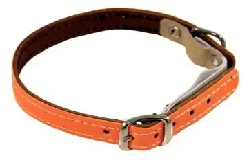 Katthalsband reflex slät orange | Nyligen tillagt