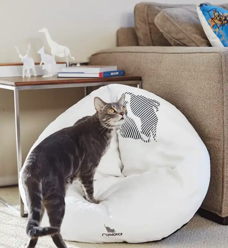Beställ nu | EMI modern catbed white
