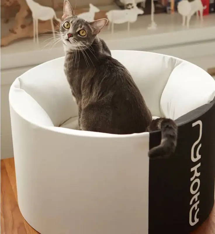 Kampanjen går snart ut - Oti modern catbed