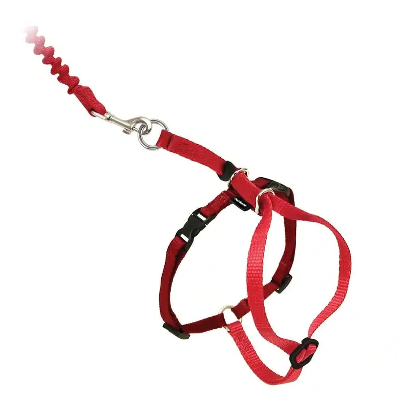 Favorit | PetSafe Easy Walk Kattsele + Koppel Röd (L)