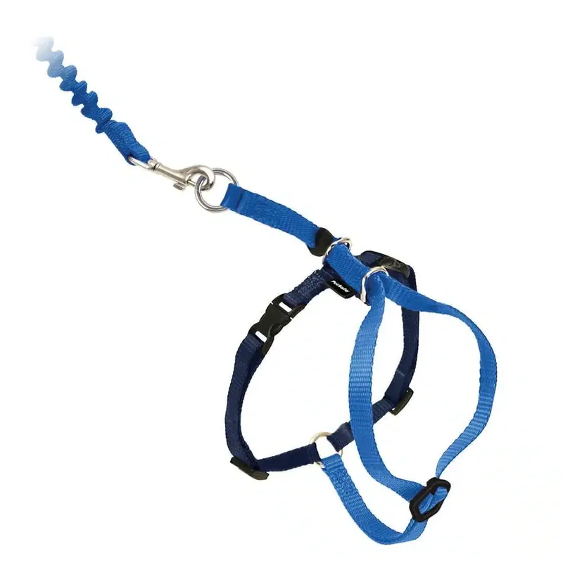 Populär | PetSafe Easy Walk Kattsele + Koppel Blå (S)
