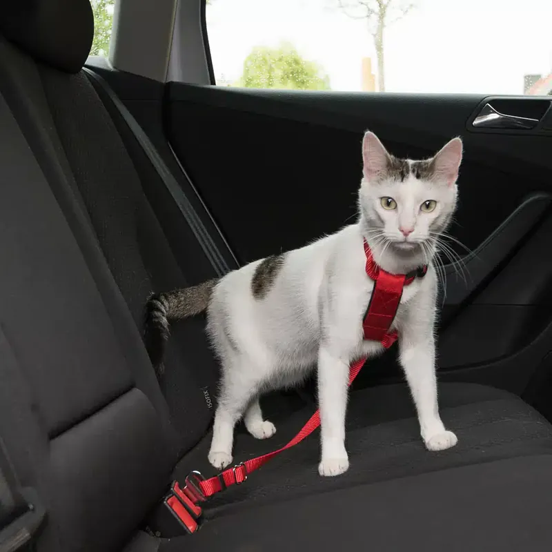 Bra pris just nu - Trixie bilsele för katter – Röd