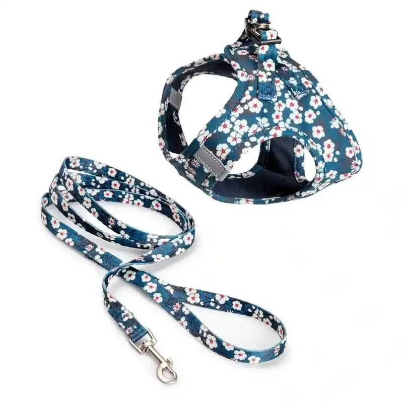 Basic Cat Blossom Sele + Koppel Blå (S) | Köp online