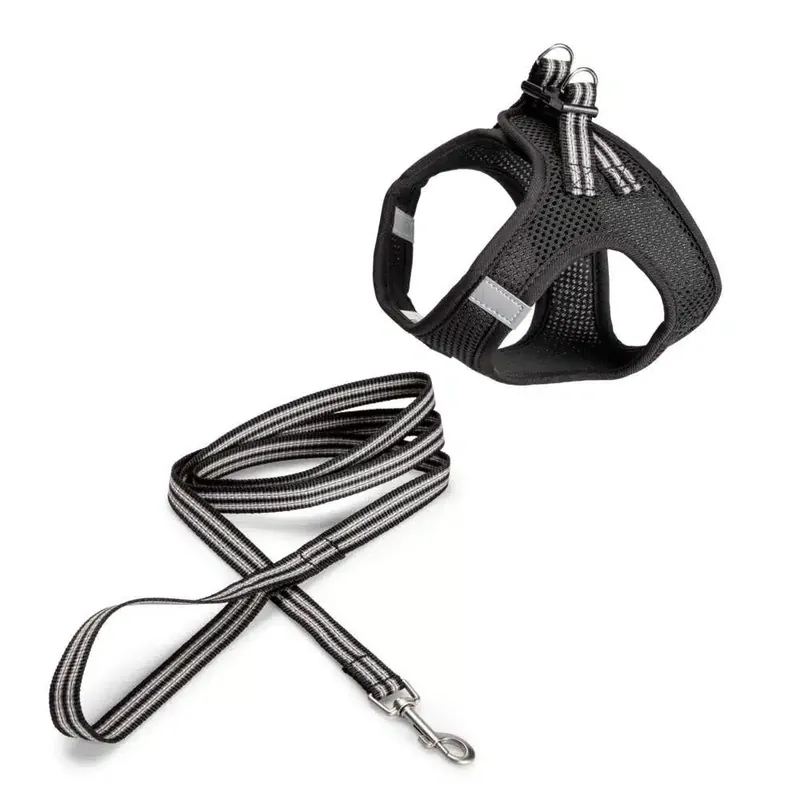 Topprodukt | Basic Cat Sporty Sele + Koppel Svart (S)
