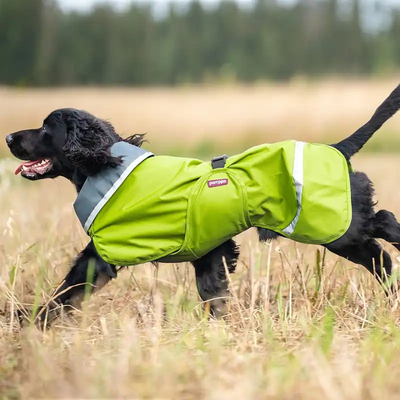 Nyligen tillagt | Pomppa Sade Regntäcke Hund Lime