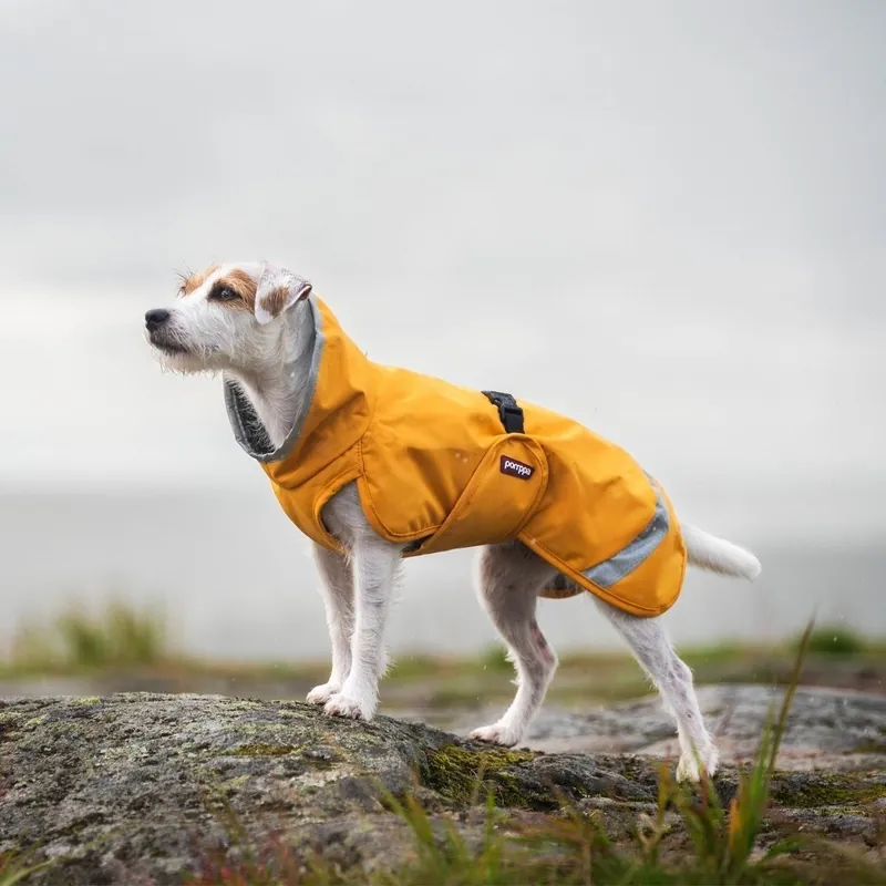 Beställ direkt - Pomppa Perus Vintertäcke Hund Curry