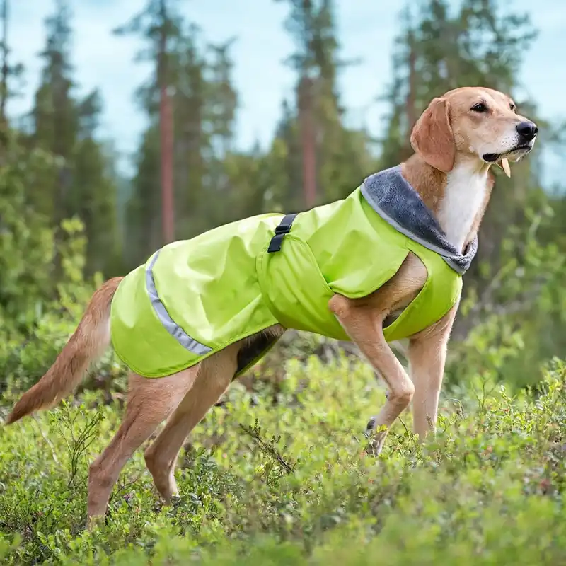 Rea | Pomppa Kevyt Regnjacka Hund Lime