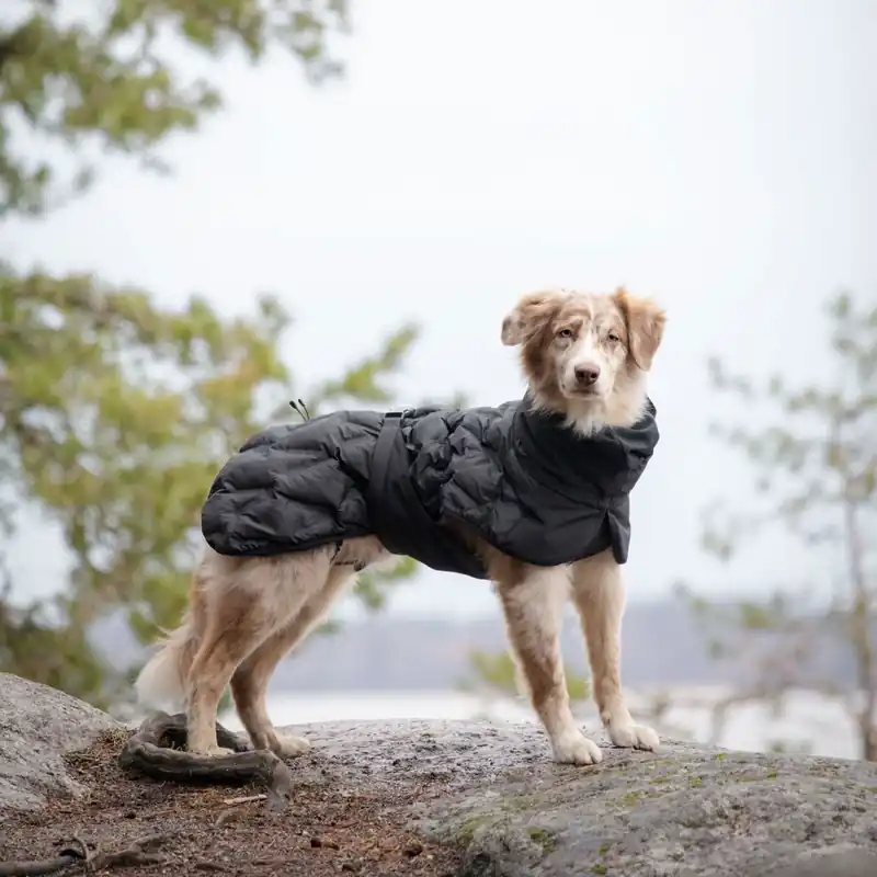 Feel Active Haga Parka Svart | Efterfrågad