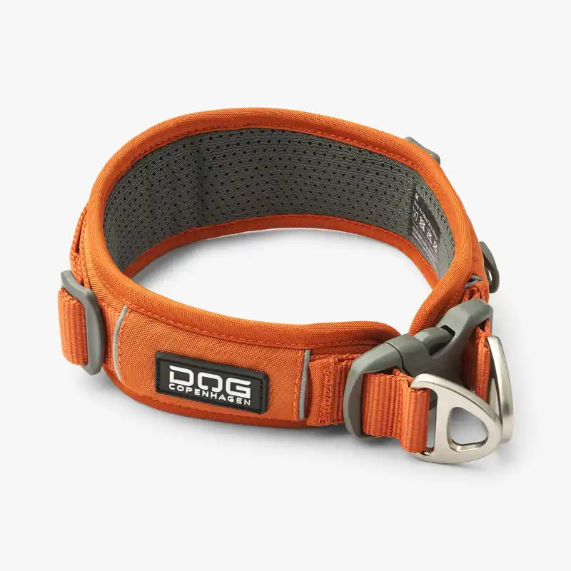 Premium | Urban Explorer Hundhalsband - S / Orange Sun