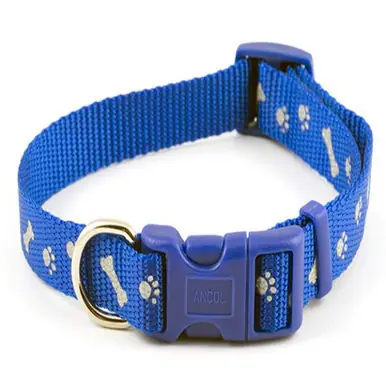 Specialpris - Nylon halsband blått för hund - Large