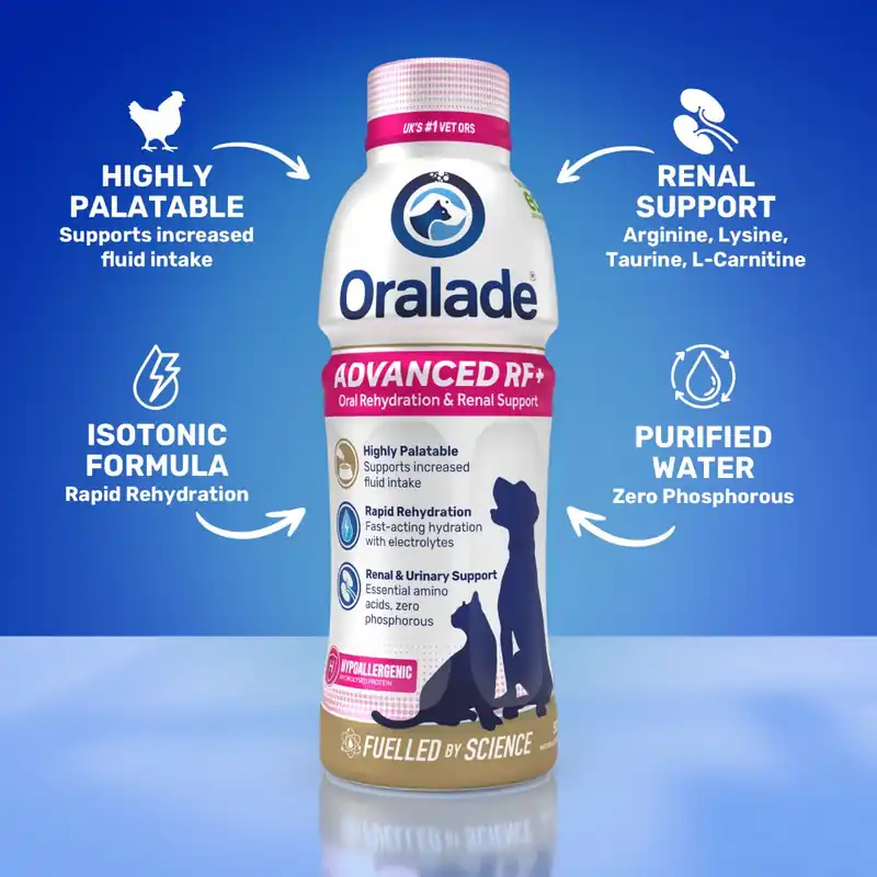 Dagens erbjudande - Oralade RF Support Cat - 500 ml