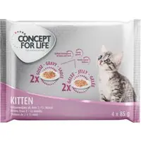 Provpack Concept for Life 4 x 85 g - Kitten | Begränsat antal