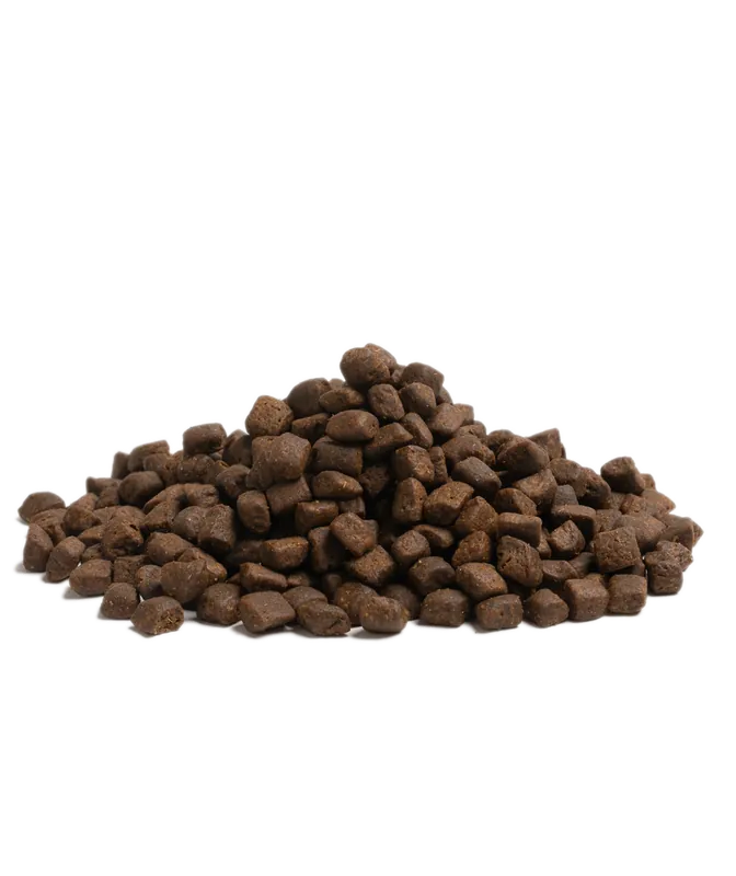 Essential Stamina Torrfoder till Hund - 2,5 kg | Efterfrågad