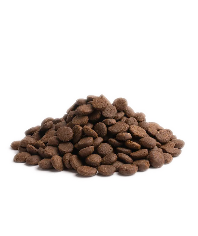 Essential Older Torrfoder till Hund - 10 kg | Nästan slut