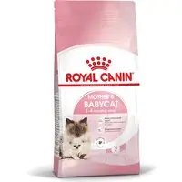 Royal Canin Mother & Babycat Starter Torrfoder för katt 4 kg - Premiumkvalitet