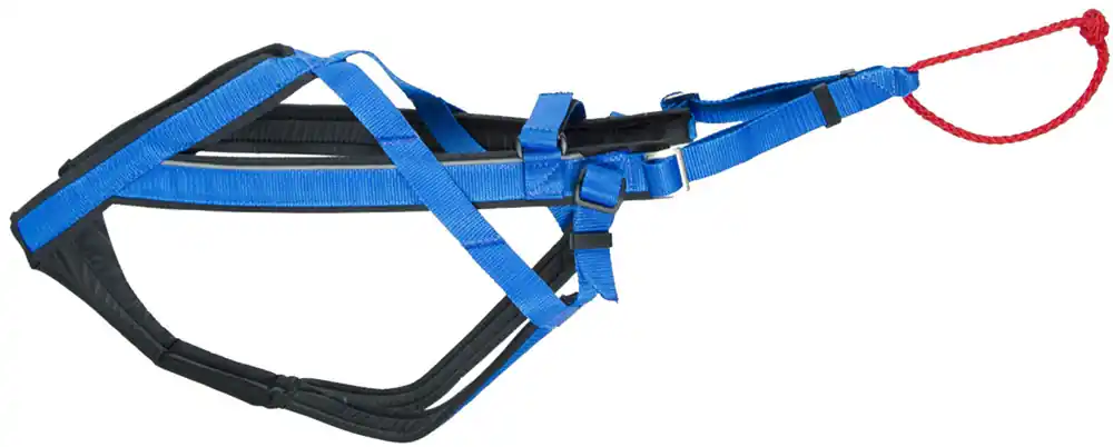 Prissänkt | Adjustable Dragsele - Large / Blå