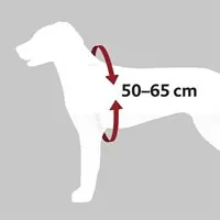Bilsele Dog Protect - Medium - Handla nu