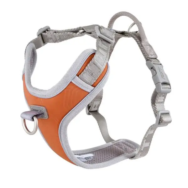 Fynd - Venture No Pull Hundsele - Buckthorn - 80-100