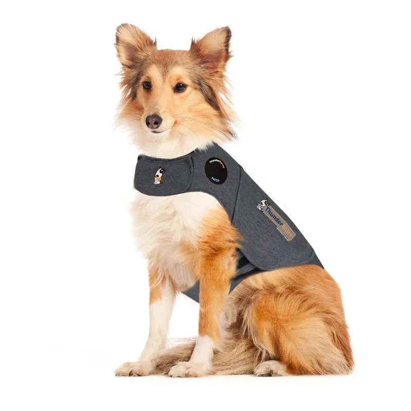 Thundershirt - M | Reapris