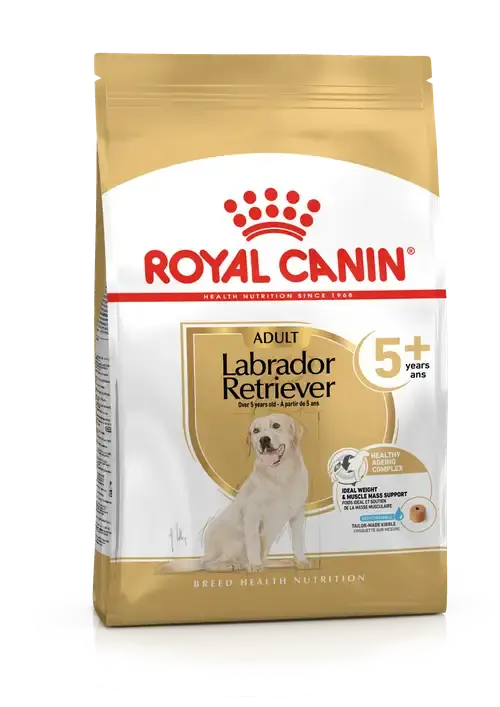 RC Labrador 5+ 12kg - Snabb leverans