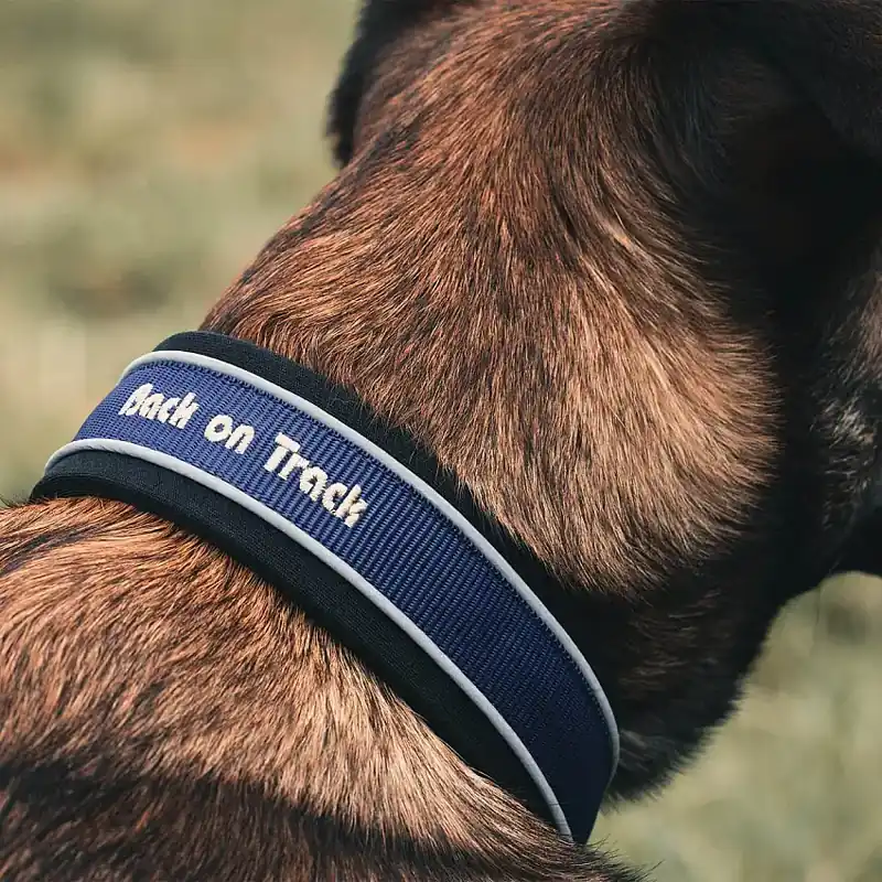 Gratis retur - Charlie Hundhalsband Blå