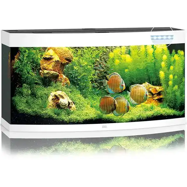 Juwel Vision 260 liter LED – Vit - Nyinkommet
