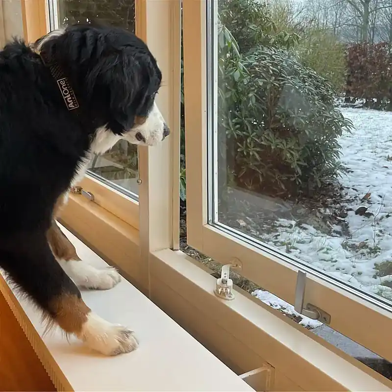 Smidig beställning - DogSpace Startkit för att Valpsäkra ditt Hem