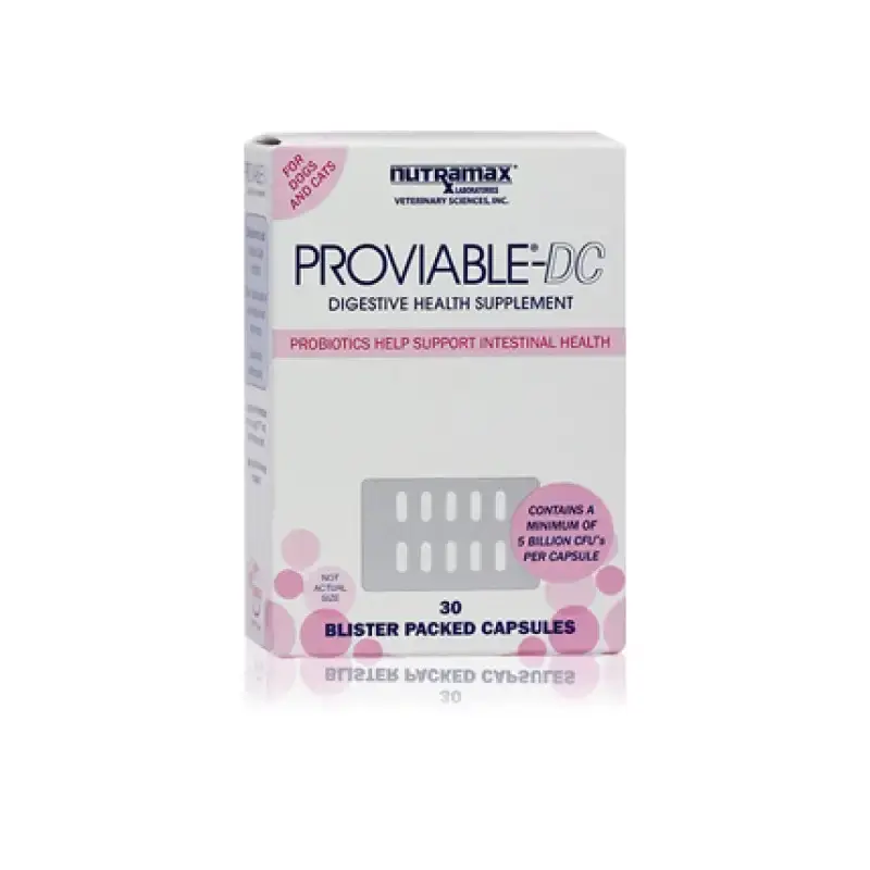 Kosttillskott Nutramax Proviable-DC Strökapslar 30 st | Rabatter