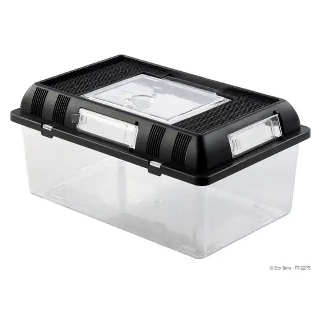 Exo Terra Breeding Box – Medium – 30,2×19,6×14,7 cm | Kampanj