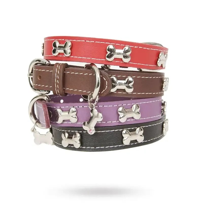 Silver Bone Leather halsband – Svart | Extra bra pris
