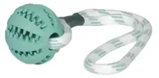 Topprodukt | Dental Line tuggboll mynta med rep