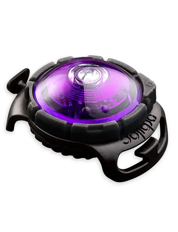 Orbiloc Dog Dual Lila | Topprodukt