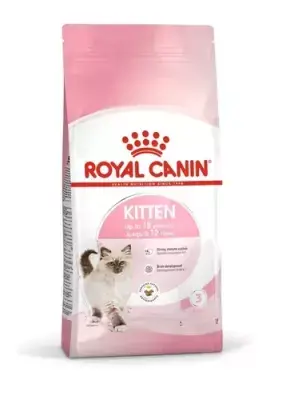 RCC Kitten - Erbjudande